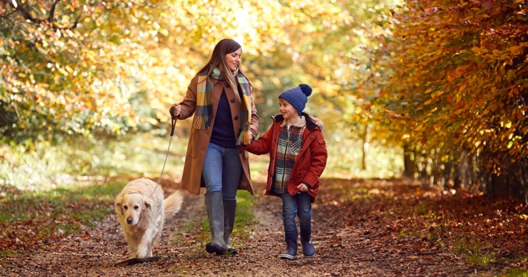 Fall Allergies Are Back: Seeking Protection from Ragweed and Mold Allergy Triggers