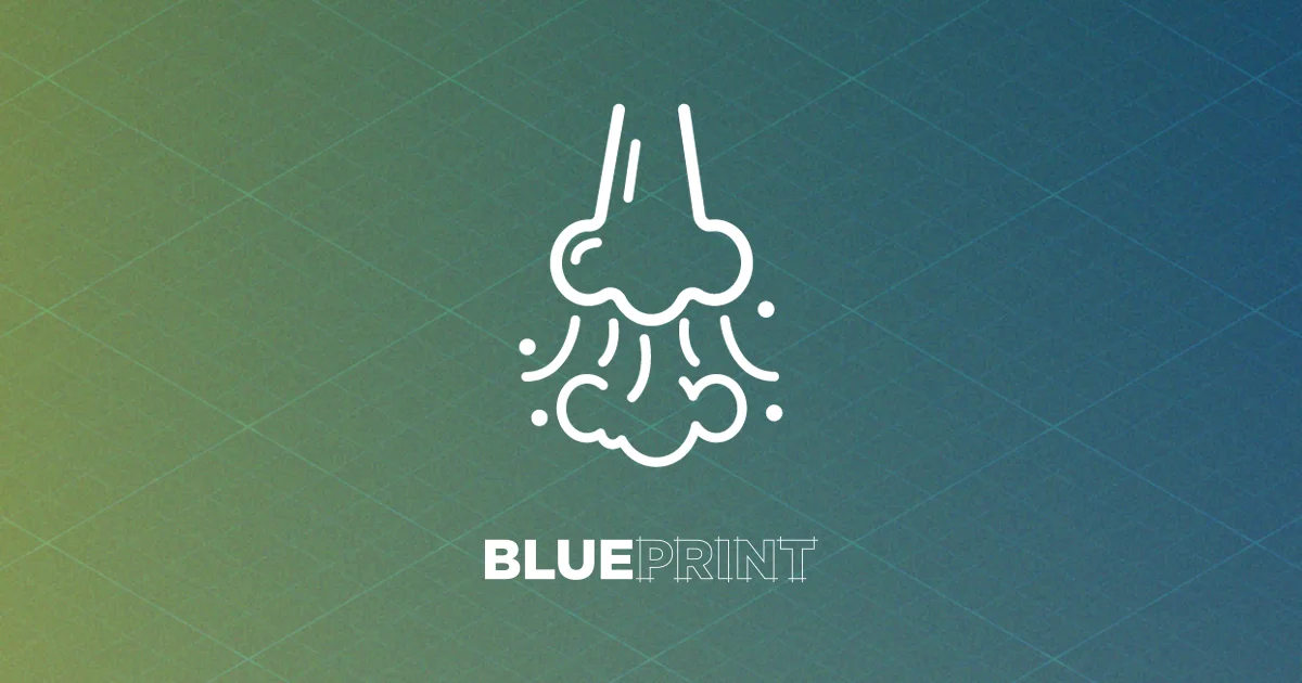 Healthy Home Blueprint: Fighting Allergens, like Dust Mites and Mold