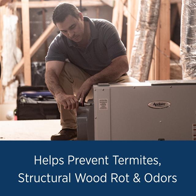 Dehumidifier 1850 Prevents Wood Rot   Odor