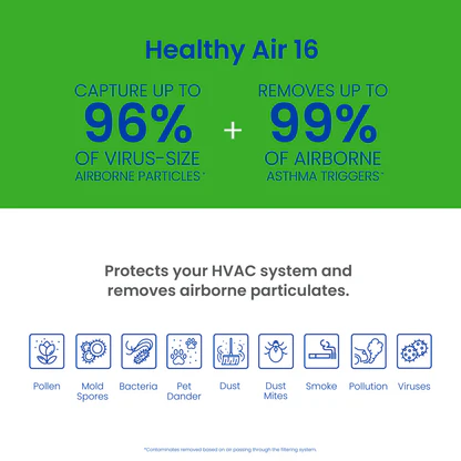 AprilAire 216 416 516 Air Filter Allergy Asthma Web Ready Graphic