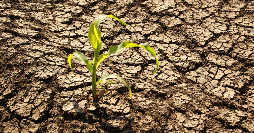 How Drought Impacts Your Air Quality